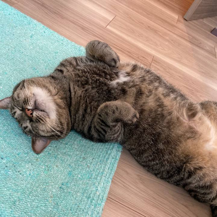 4ff6c76a 8ba4 4b8a 8a10 ff97429c9ad4 1655681546181