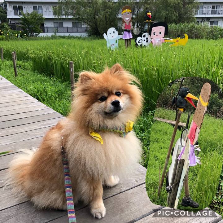 4ff6d558 e56c 40a1 9dfa 9972e8de4e11 1566168569860