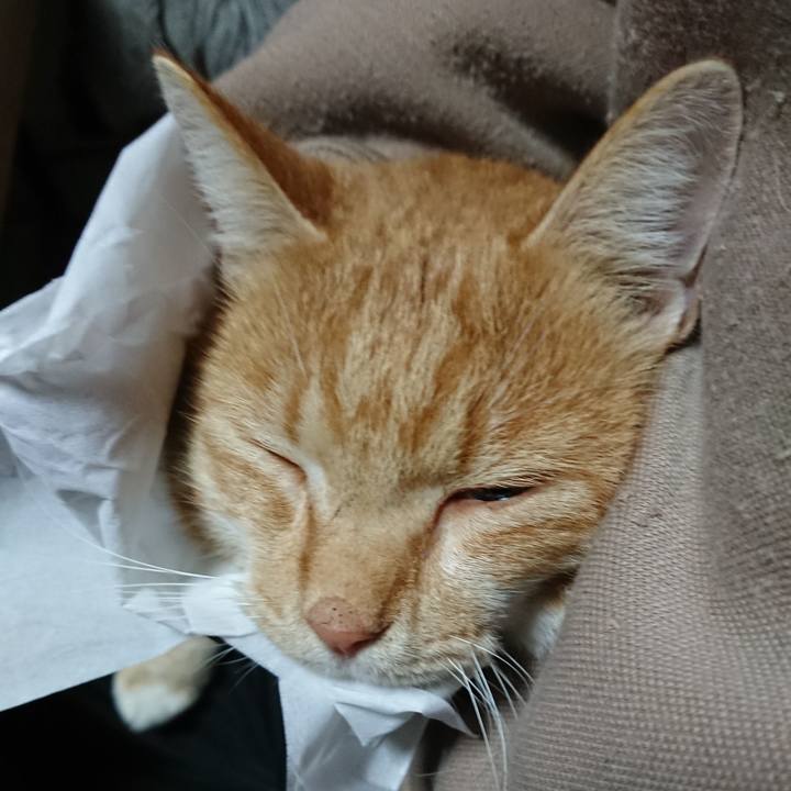 4ff6e765 c5f5 4a29 a96d fde68772e2e4 1573811614212