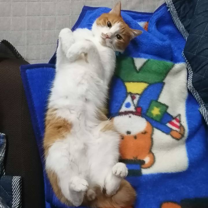 4ff6f164 86b6 4bbc a365 f1b629ad3d45 1605958894650