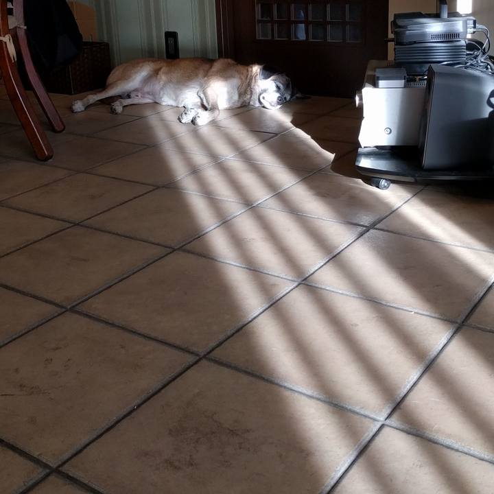 4ff6f506 2095 4899 a9d1 252ee3e14a9c 1513056180592