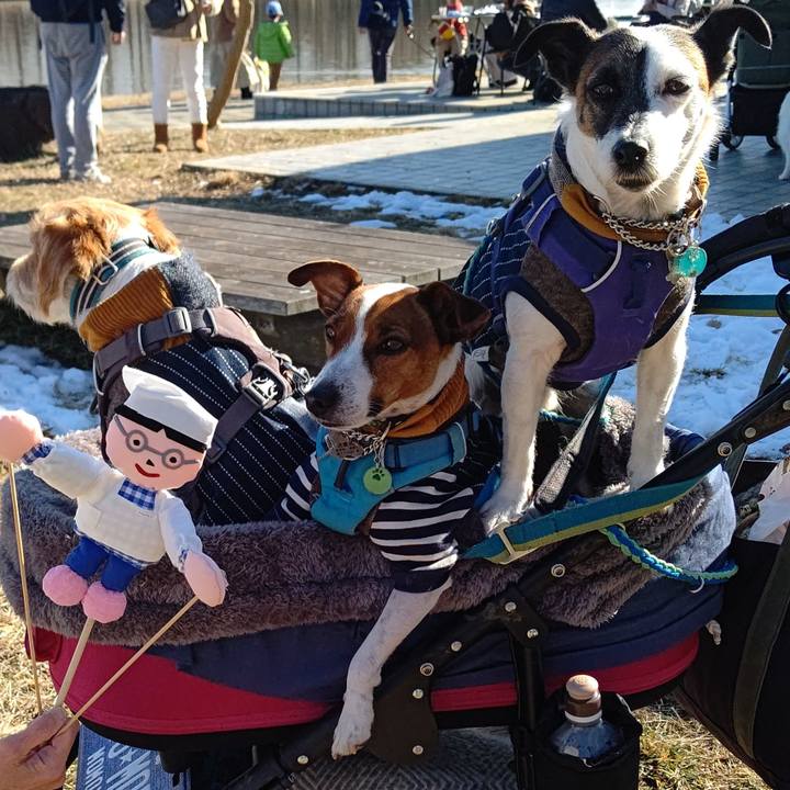 4ff70812 6e9a 4e03 bb48 5100f7f6f826 1641724069161