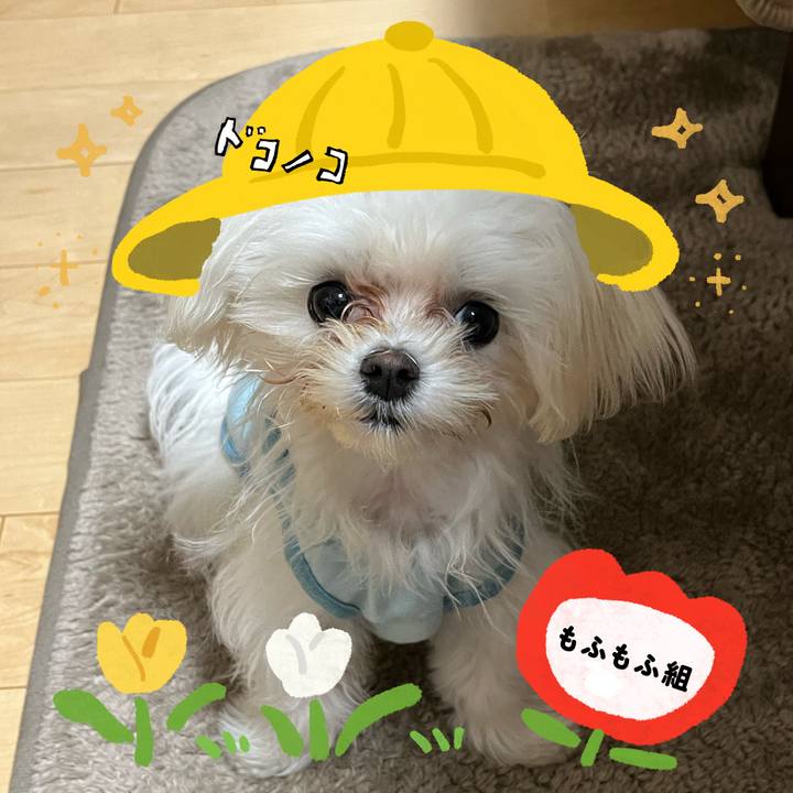 4ff730f2 9580 4e71 b22e d7ca4e74d77d 1712197427355