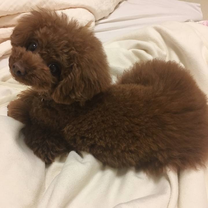 4ff756e4 bc7a 489e 8450 fe12adacb152 1526699710920