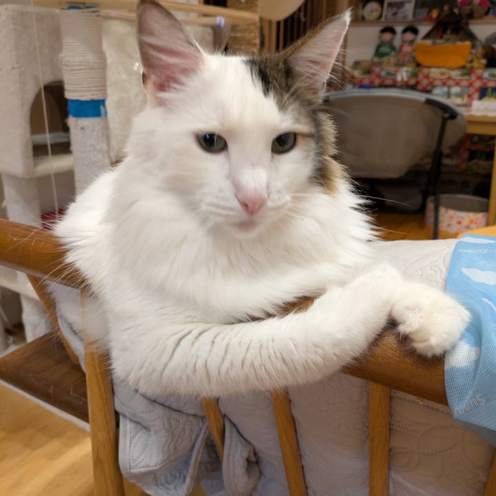 4ff7b67a 523e 43dd 93bd cf0f2de00685 1752664844715