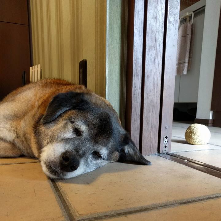 4ff7bbbd 698f 4e73 bc1d 34ae696effc3 1557104034622