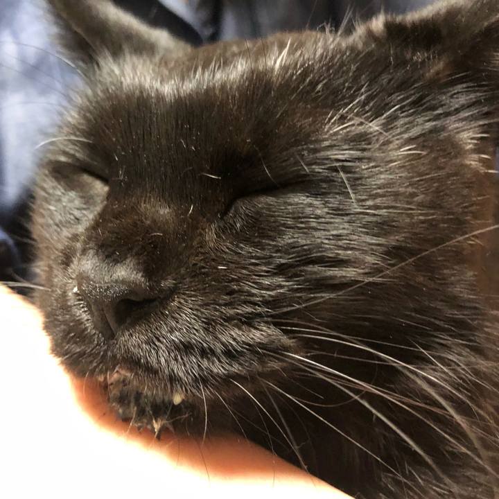 4ff7da91 09b7 4bdb a154 08f6643543c1 1631363357023