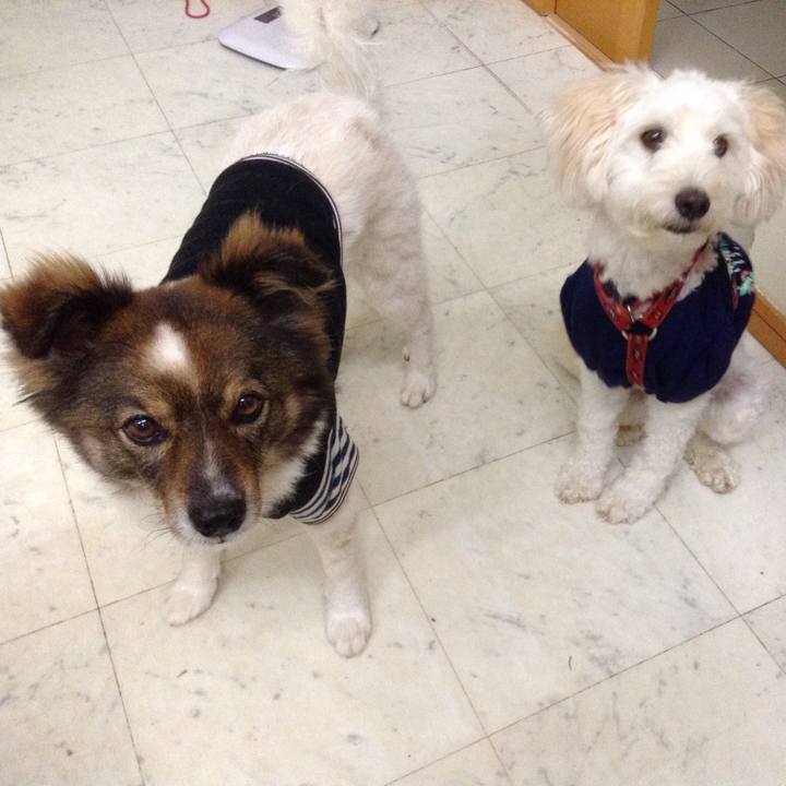 4ff7e8c0 29b6 421c 9326 00b0a2eb0844 1529137526417