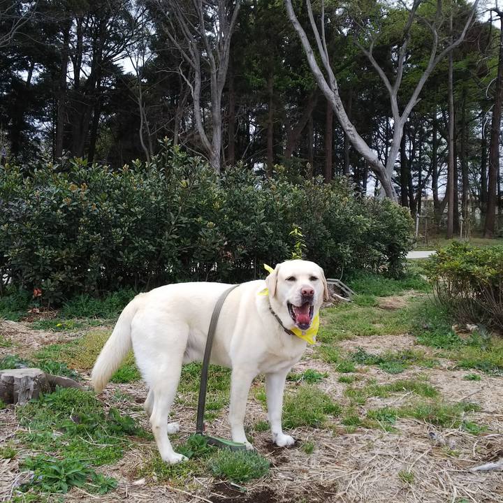 4ff7f616 80fc 4f53 960f 4b7b925ce27b 1554703986560