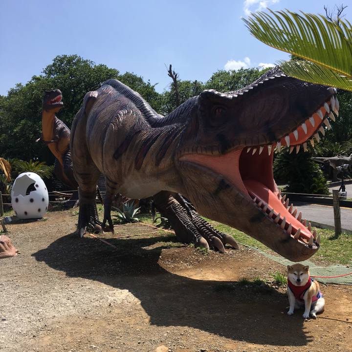 4ff7fa85 6ebd 4449 933a d5335577b54a 1620554896855