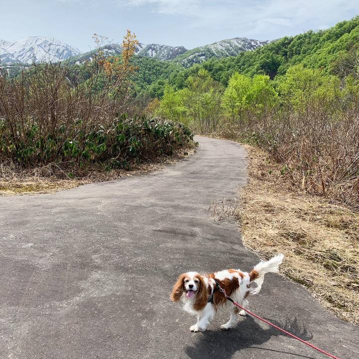 4ff7fb21 672c 449b 94fc d7d61624610e 1589856098817