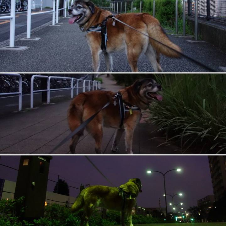 4ff8153c 1843 4ed0 ac7e 023ca4535220 1531489973866