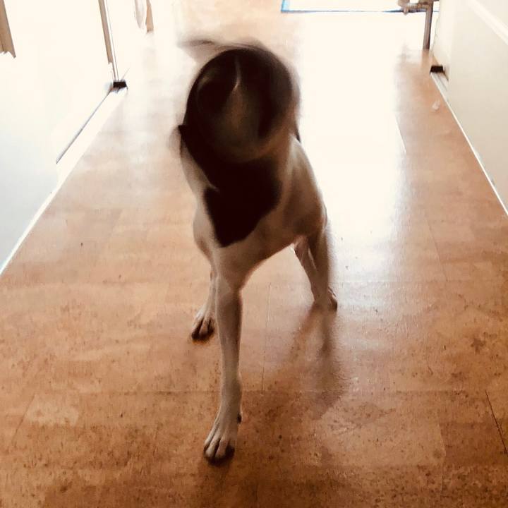 4ff81d56 ba75 4408 b3fd f489423a1435 1538434837866