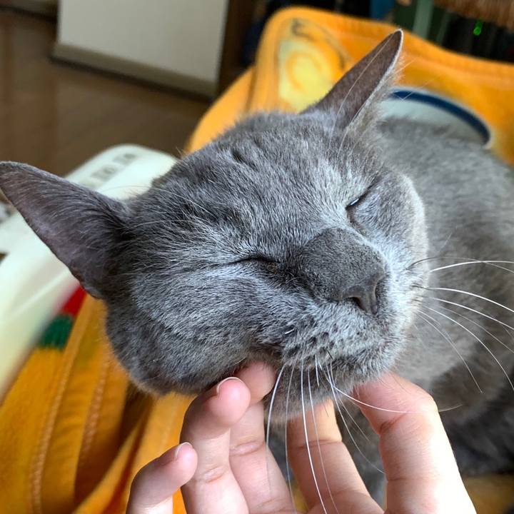 4ff8223b 2b93 4e2f 918d 08473bccd9f3 1651386127432