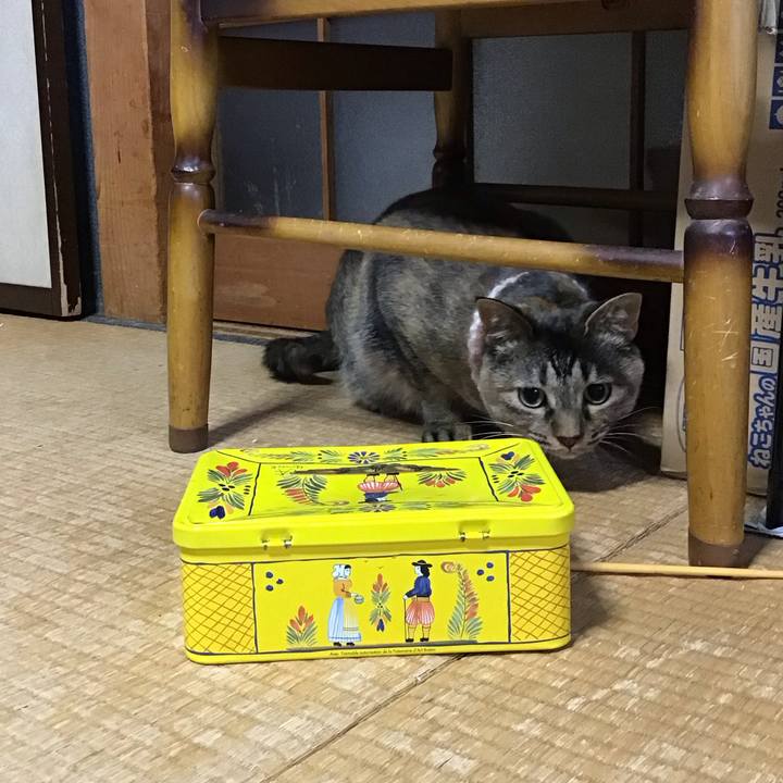 4ff82803 0587 4a6d 98e6 fb8cfae08cc8 1690458343349