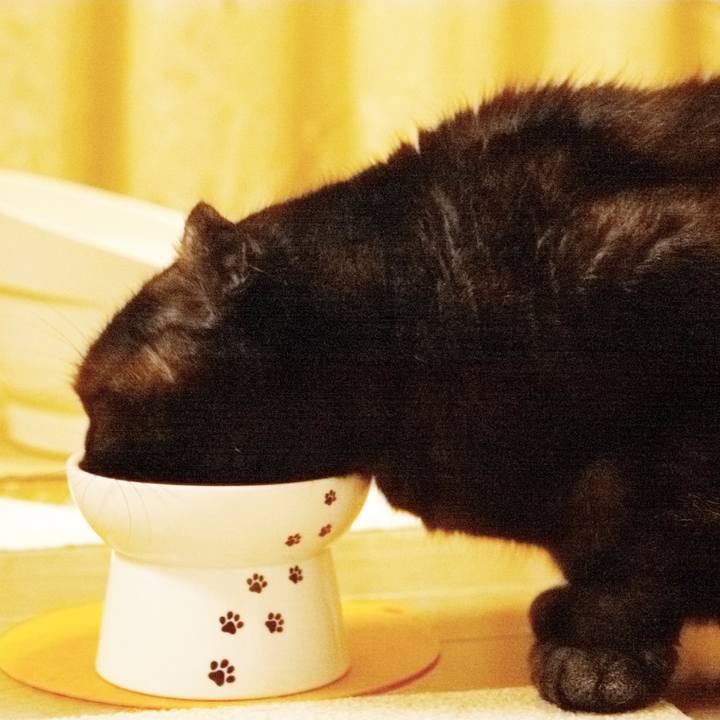 4ff84a41 8a15 4230 b0af 0b032da9e62b 1619882588852