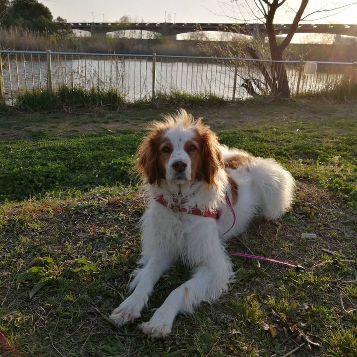 4ff850ae 4690 4a6d a206 cdca2bc57c58 1616499086409