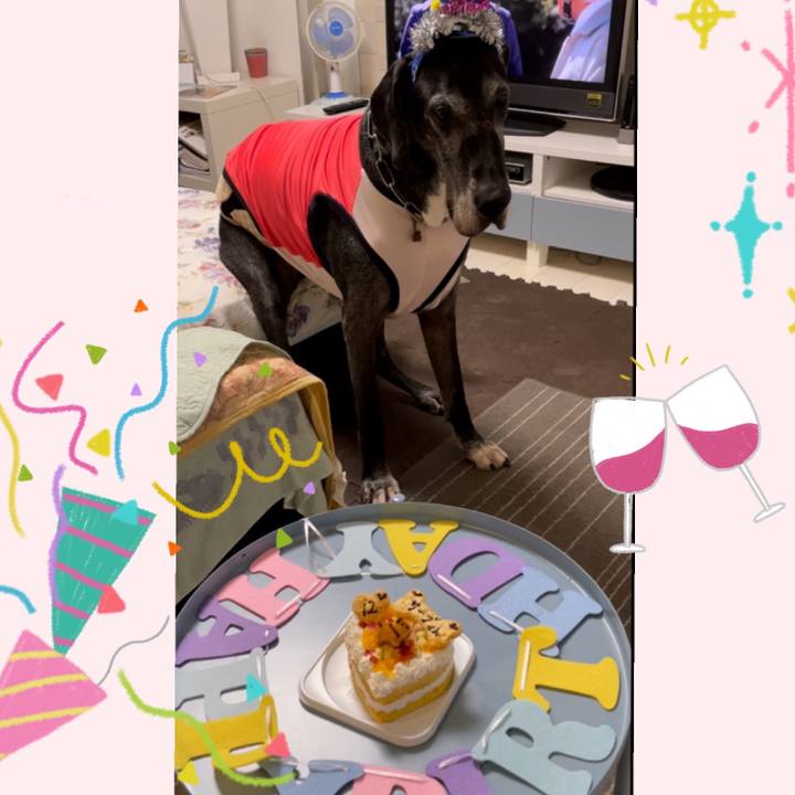 4ff8597e b0ab 48cc 9d9f 70af8c35a4ad 1636466963475