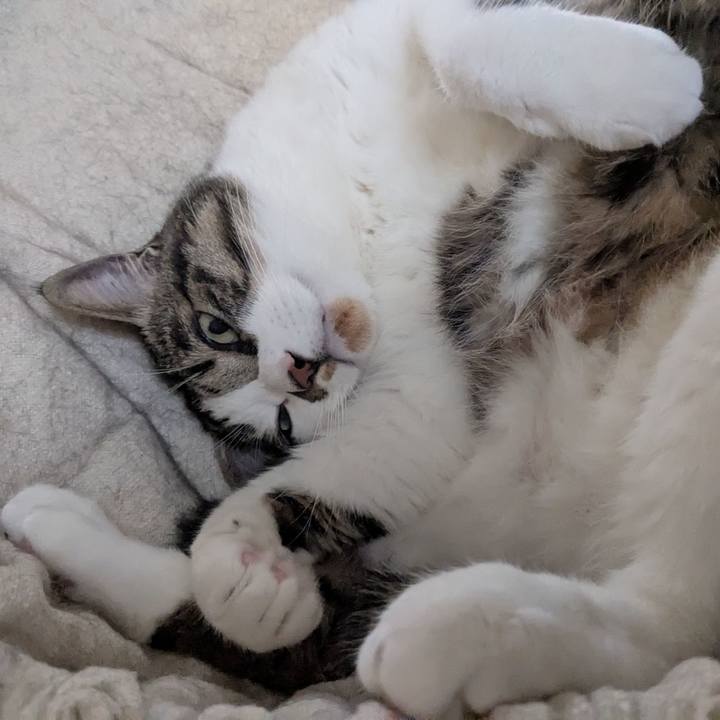 4ff88051 06bd 4deb bc9a b34dc74bb2fb 1747538186665