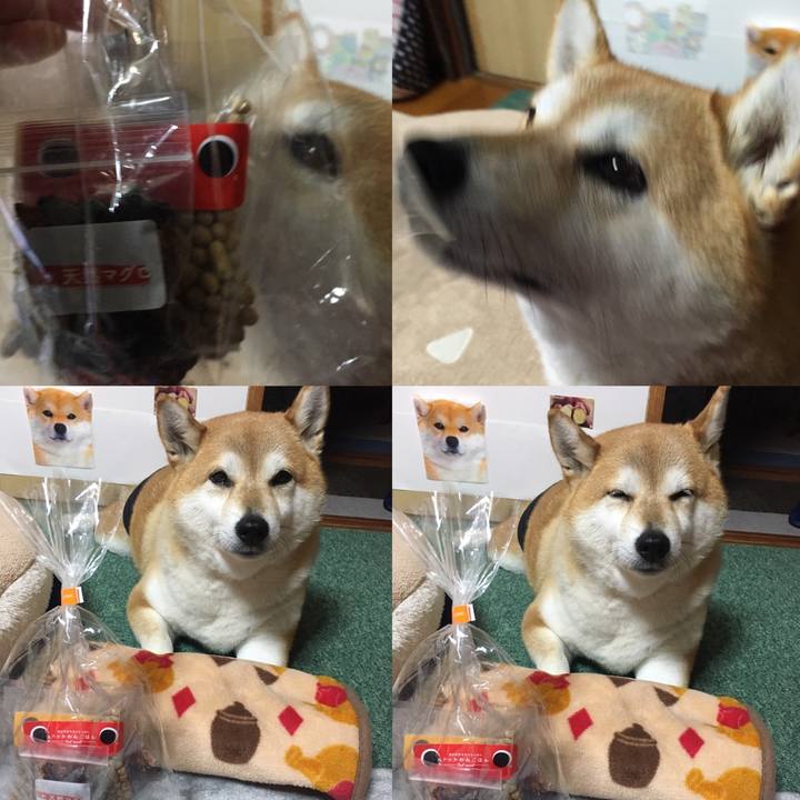 4ff8842a c2e4 4f0f b5dc a03803d4934f 1605181035062