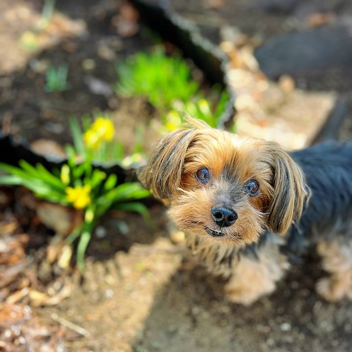 4ff884f5 0c5e 4c77 8786 47086028fe24 1647051963901