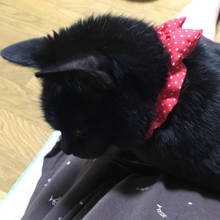 4ff88a73 e74c 4786 8394 87b9e234841d 1544533270890