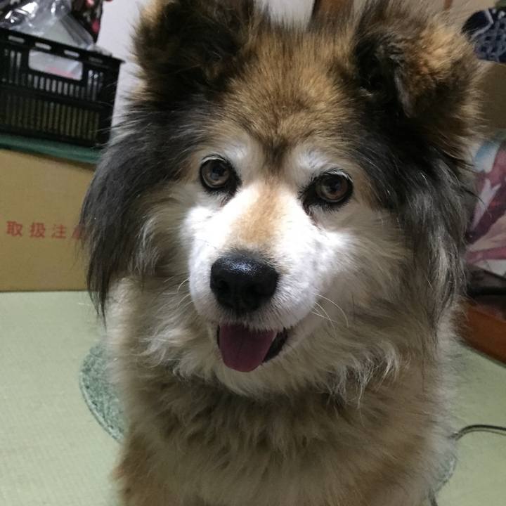 4ff89026 d9f6 41c0 b9b9 740eb0f26990 1608292249434