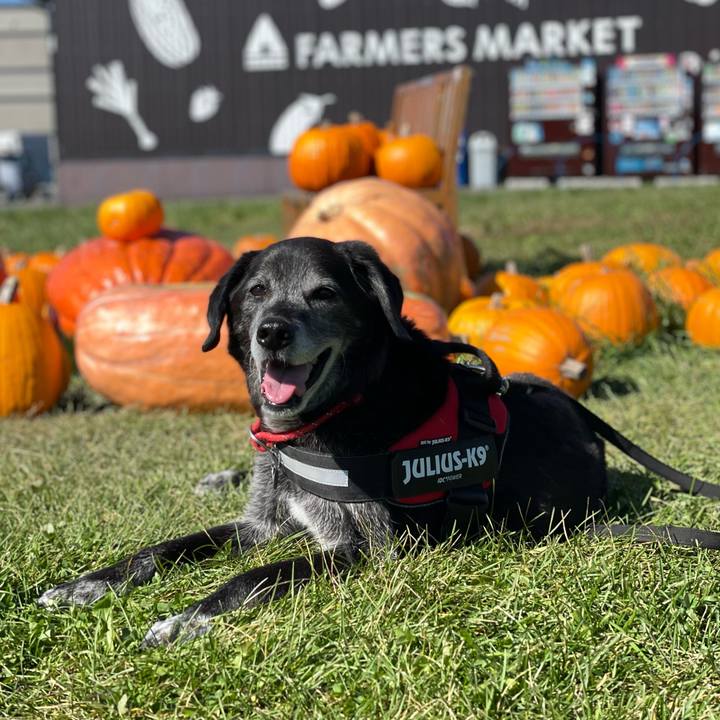 4ff89579 6376 499c 9d0f d933a3d50045 1760437900899