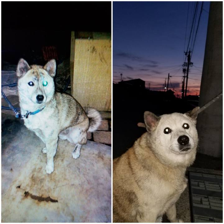 4ff92029 9531 4ca7 9067 af525cc2655c 1701037673821