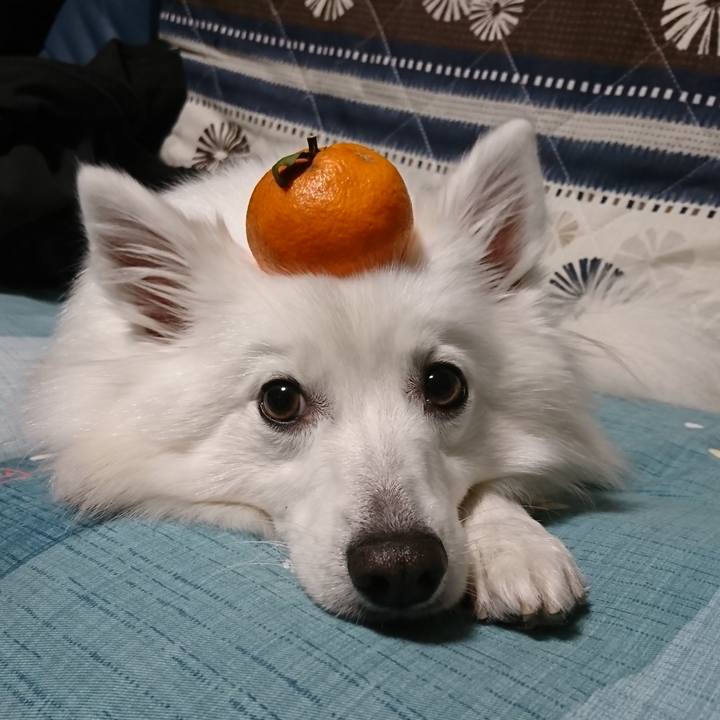 4ff993a2 2671 4a88 91d7 62289e4fb23c 1546277556619