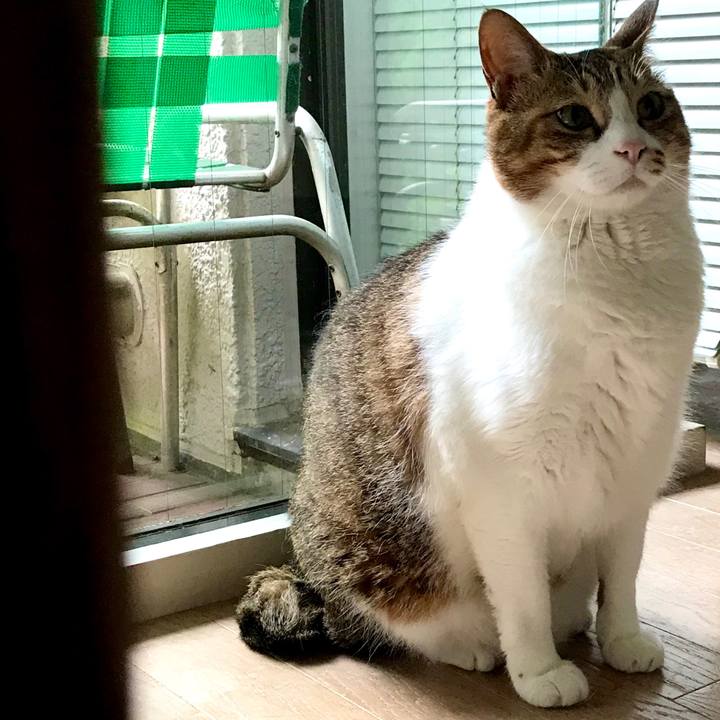 4ff9bde7 7751 4bdd a304 5369c886fb74 1592787818767