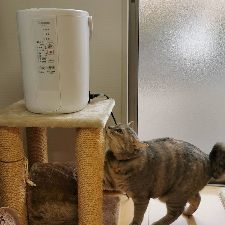 4ff9c947 829e 4c07 8101 e1fd4cfb0b4b 1637899582068