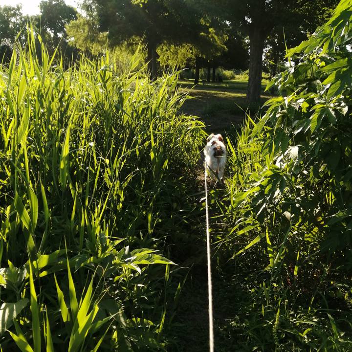 4ff9d6fe 73f9 4580 8eed 3589231ce82a 1626694077501