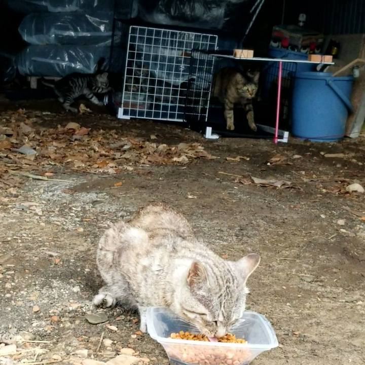 4ffa1ab2 633d 4605 b451 e5e897b1941e 1691239475261