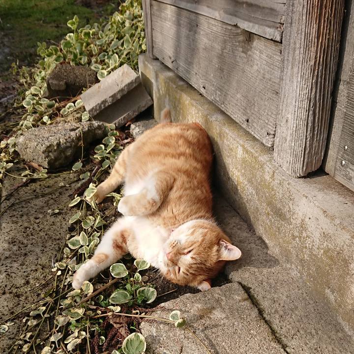 4ffa3cbf 1f8c 42cf a886 5b45bb609152 1578797894058