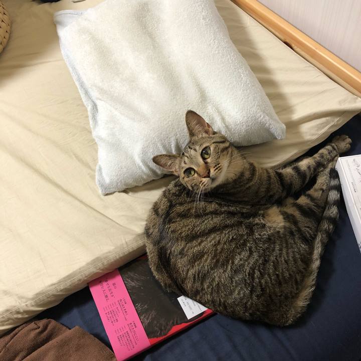 4ffa4748 a366 485c a43d fb342fab7166 1527795226340