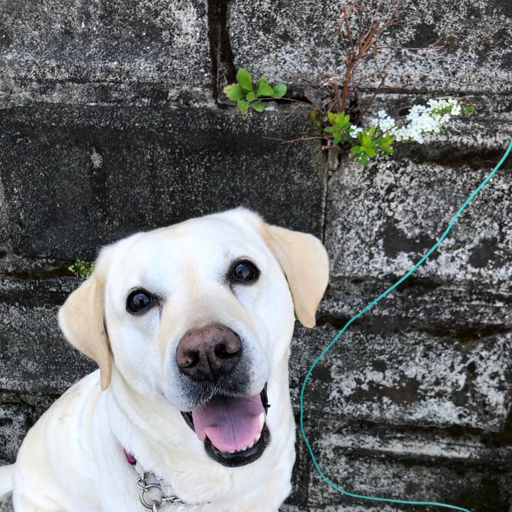 4ffa4755 4622 44e9 b4c3 b980db6a7db0 1648606259069