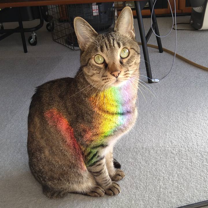 4ffa47cc 3ca3 46c6 afdf c08d6aa52fc7 1639199164493