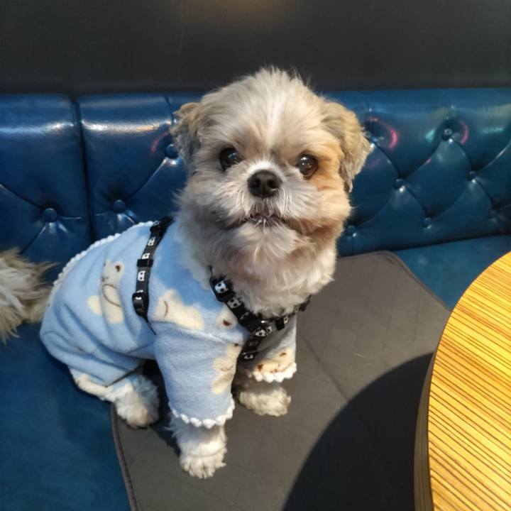 4ffa51fe 53ad 4e49 aecc c72af3ad0cdf 1771233004459