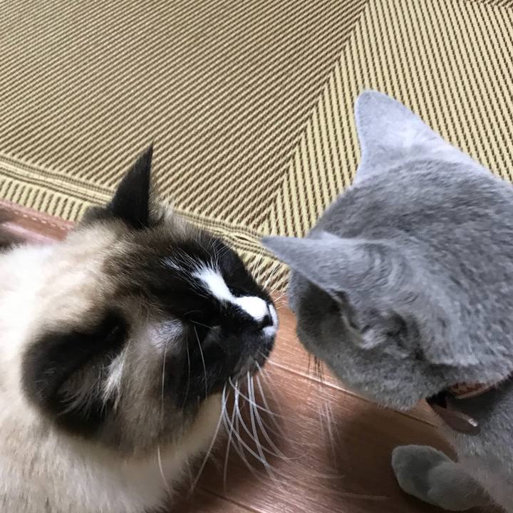 4ffaabb8 91cb 4ff4 b489 a8db6ea9f5e4 1519904222267