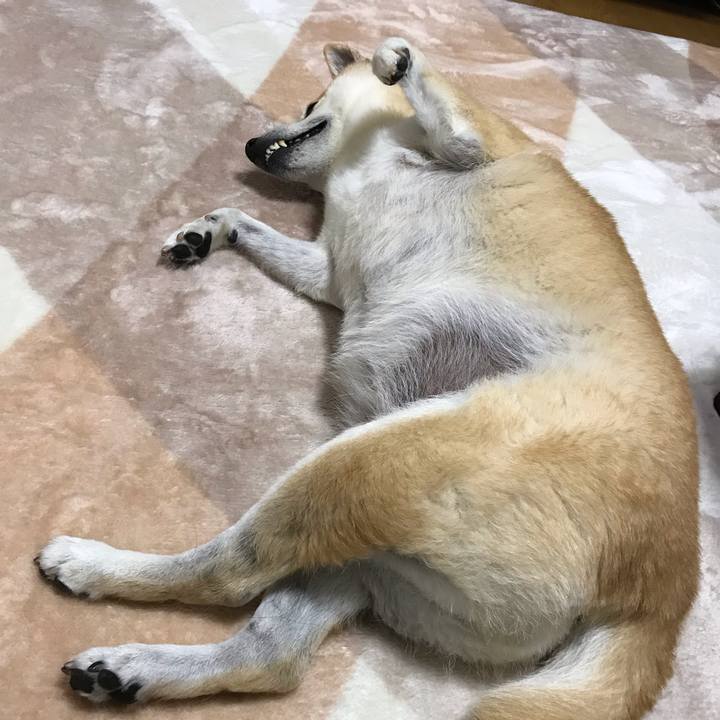 4ffac4ee b05d 4089 9ddc c02e292ee5a6 1545821421181