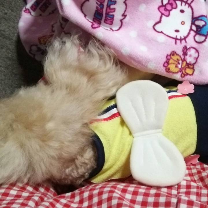 4ffad656 da40 416a b3e1 21f7a4167047 1561724526570