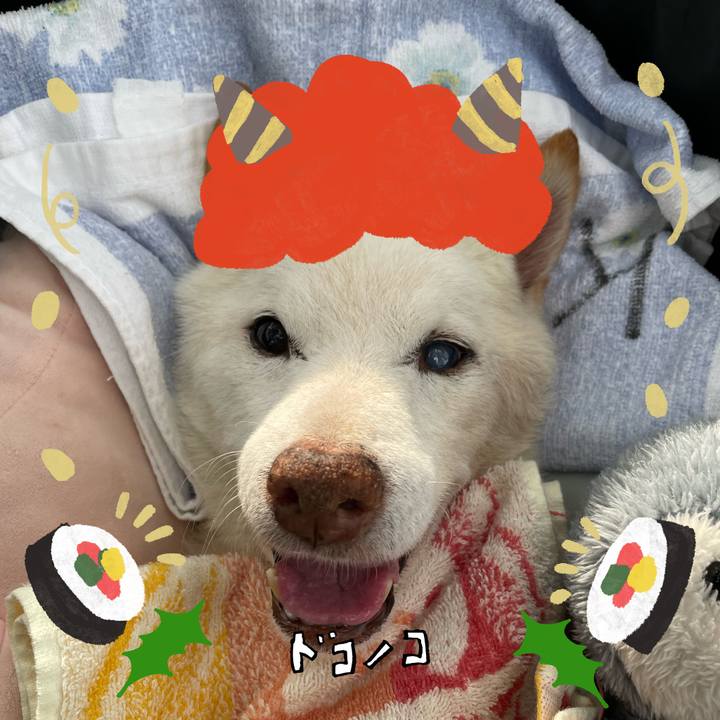 4ffaff08 02eb 42a5 af99 7d92befc0c2b 1707064625791