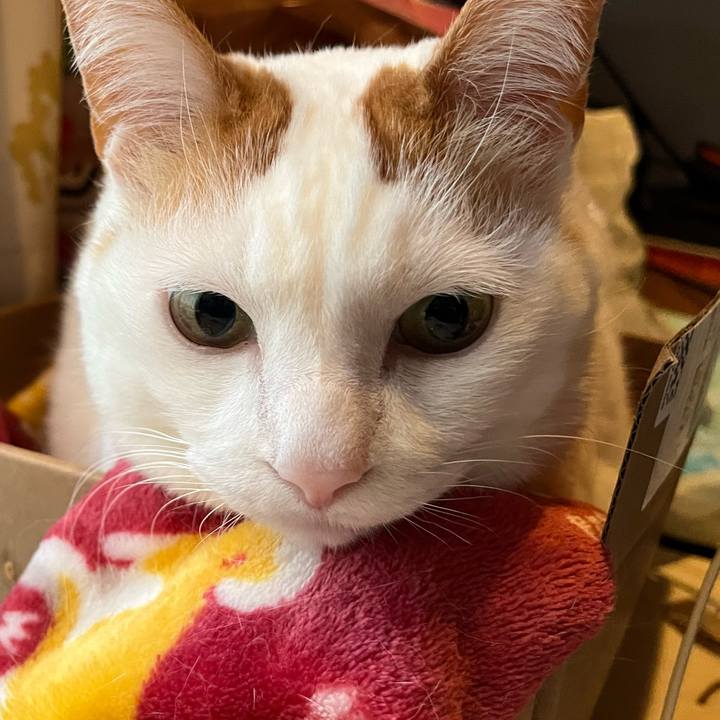 4ffb071f 1b09 4a74 a149 62609c389357 1772113329665