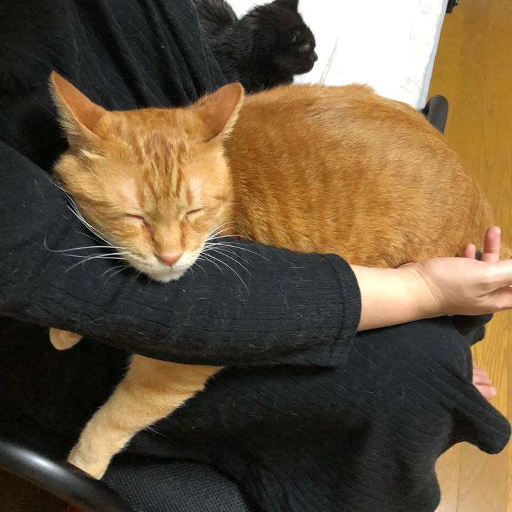 4ffb17c1 187c 4106 9b4b 659c4c29e448 1623496501626