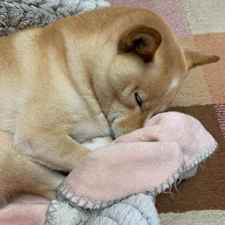 4ffb197f f5bb 4d59 be1b deb33fa4a000 1636425172256