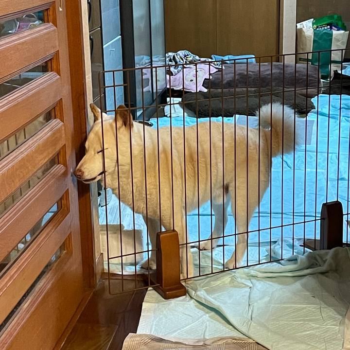 4ffb3bb4 1b79 4278 ad9b 69d03f5a4f0f 1636949930650