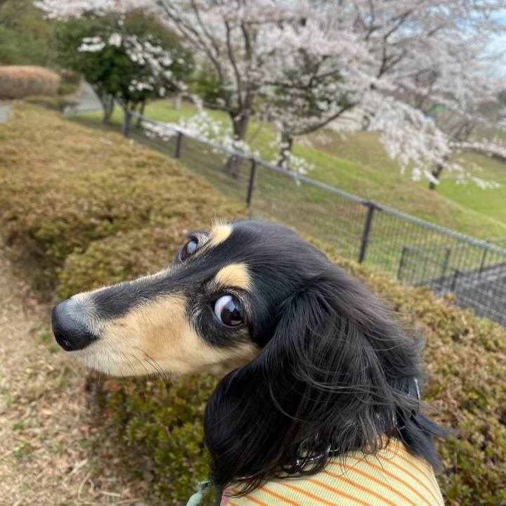 4ffb4956 07db 4d62 a7c1 8446006d5031 1743942573574