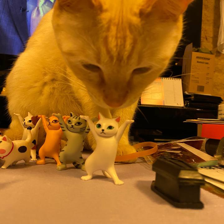 4ffb55e3 1e23 461e 8e31 bf15633f339f 1625140380414