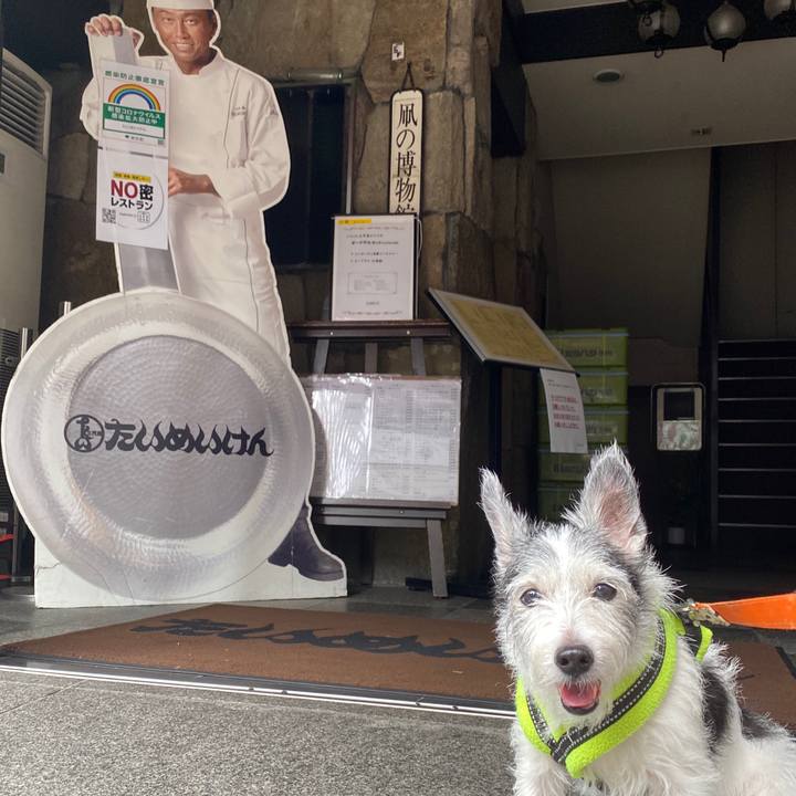 4ffb5f59 18c0 4d7e b42f 186e97739082 1599399733349